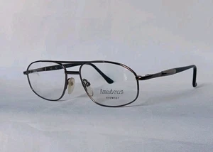 Monturas de gafas Amadeus AM02 gris 54□16-140 bisagras de resorte - Imagen 1 de 4