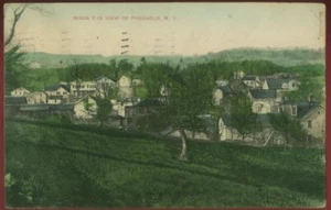 Postal de colección Freehold NY BIRDS EYE VIEW 1913 081621 Q - Imagen 1 de 2