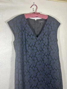 j crew short dress Lace size 10 Blue cap sleeve shift dress excellent Back H1 - Picture 1 of 12