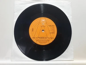 Vinyl Single, Epic, Promotional, Ted& Ken Gardestad, S EPC 7477, 1978 (Sin3) - Picture 1 of 4