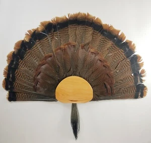 Turkey Fan and Beard mounting kit (Cherry) - Picture 1 of 3
