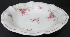 Royal Rudolstadt Prussia Porcelain Bowl Floral Pink Roses Gold Trim 11" D - Picture 1 of 5
