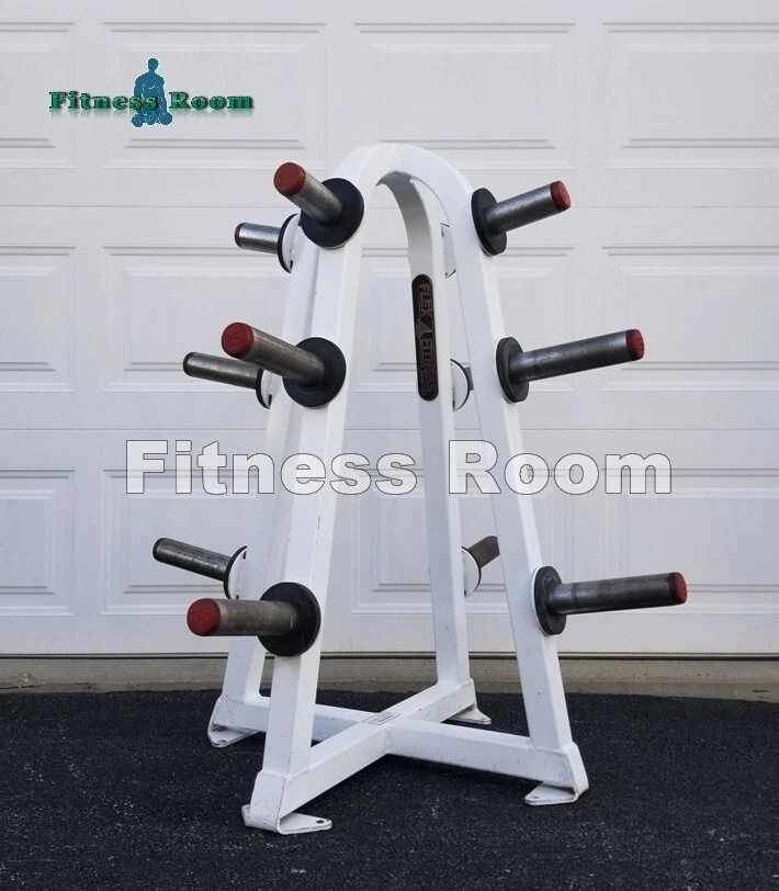 Árbol de pesas Flex Fitness/Star Trac - Almacenamiento de platos olímpicos Foto 1 de 1