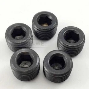 5 Stück 1/4" NPT schwarz Innengewinde Muffe Rohrstopfen - Bild 1 von 1