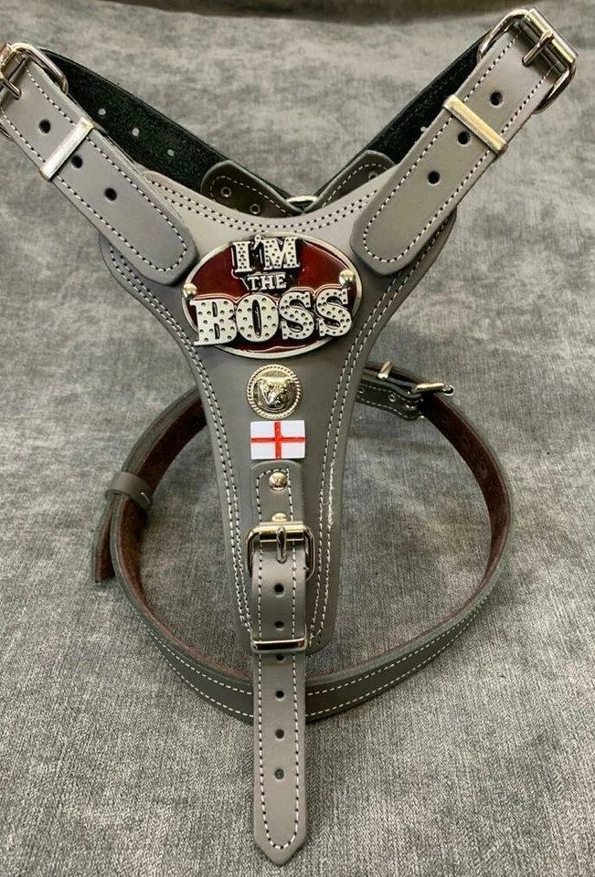 REAL LEATHER STAFFORDSHIRE/STAFFY BULL TERRIER  HARNESS, LEATHER HARNESS.. - Image 1 of 1