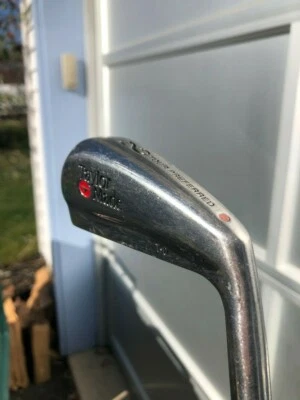 TaylorMade Tour Preferred T-D red dot 2 Iron 39½ TT Dynamic Gold Steel Shaft RH  - Image 1 of 4