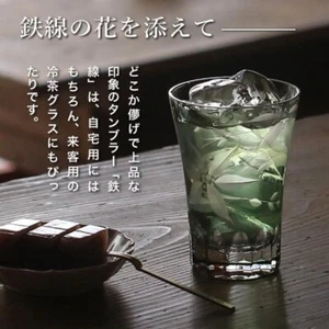 Edo Kiriko Tumbler Steel Wire Moss Green Yamada Glass Ice Tea Glass Beer Glass - Picture 1 of 7