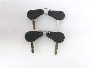 2 X Original Schlüssel Starter Schalter Mit Logo Mahindra Traktor - 005555207R1 - Bild 1 von 3