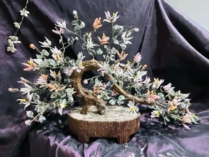 GROß 23 x 17 Asiatischer Jade Bonsai Baum Blüten Rosa-Korallen-Weiß Kunstbaum - Bild 1 von 18