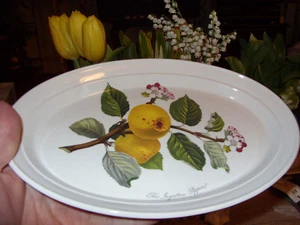 PORTMEIRION POMONA RARE INGESTRIE PIPPIN ELDEST-TYPE OVAL PLATTER UNUSED SEENOTE - Picture 1 of 6