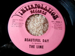 LIME~BEAUTIFUL DAY~SATISFIED~ MINT~INTERPOLATION ~ PSYCH~~GARAGE 45 - Imagen 1 de 1