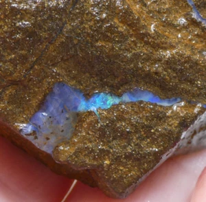 222.3 CT Unpolished Natural Rough Australian Boulder Opal Specimen - Picture 1 of 16