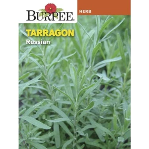 Burpee Tarragon Russian Herb Seeds Full Sun Aromatic Outdoors Seed Packet - Picture 1 of 8