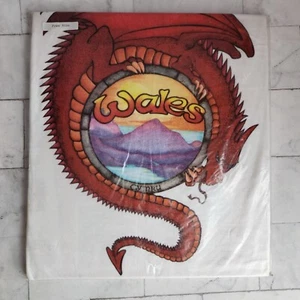 Vintage Graphic Wales Cyrmu Yr Hen Wlad Dragon 1980's 90's T Shirt White New - Picture 1 of 3