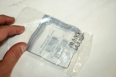 OEM Cub Cadet MTD Craftsman Troy-Bilt Spring 791-610317B - Image 1 of 2