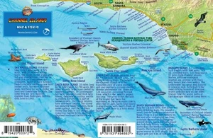 Channel Islands National Park Map & Kelp Forest Creatures Waterproof Fish Card - Imagen 1 de 2