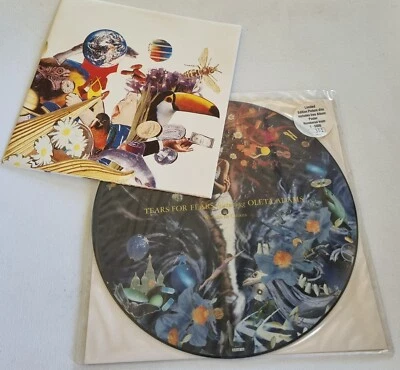 Tears For Fears Woman In Chains 12" Picture Disc UK 1992 Numbered  Edition - Image 1 of 4