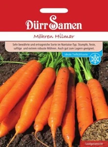 Möhren Hilmar Samen Möhrensamen von Dürr Samen ca 2000 Korn Qualitätssamen - Bild 1 von 1
