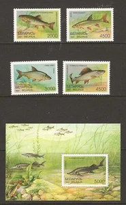 Bielorrusia 1997 peces MNH (z079) - Imagen 1 de 1