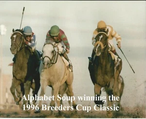 1996 - ALPHABET SOUP winning Breeders Cup Classic - Color Close Up - 10" x 8" - Picture 1 of 1