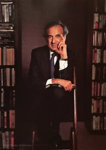 1991 Vintage ELIE WIESEL Writer Holocaust Survivor YOUSUF KARSH Photo Art 12x16 - Picture 1 of 1