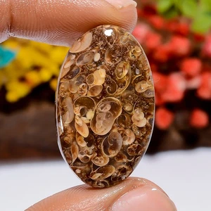 27 Ct Natural Oval Turritella Fossil Cabochon Gemstone Pendant Making 29X18X4mm - Picture 1 of 2