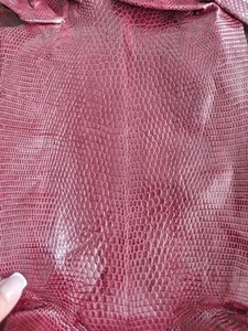 Genuine lizard iguana skin, genuine iguana leather, Exotic leather, Super Price! - Picture 1 of 7