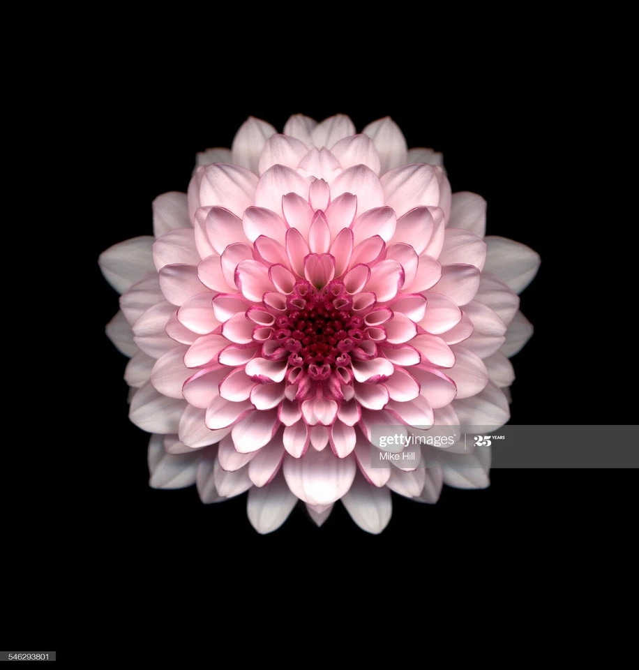 The Clash: Live - Revolution Rock (DVD, 2008) sealed  uk freepost - Image 1 of 1