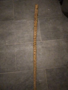 Viktorianisches Zeitalter Haiwirbel Gehstock antike Wirbelsäule 33 Zoll - Bild 1 von 11
