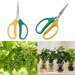 Garden Bud Trimming Leaf Snips Scissors Straight Razor HYDROPONICS Sharp K5A7 - Picture 1 of 20