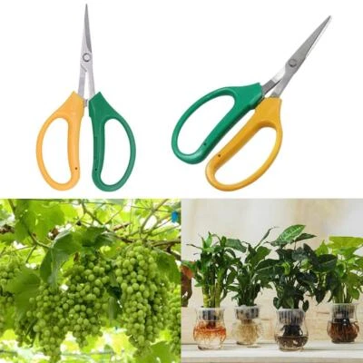 Garden Bud Trimming Leaf Snips Scissors Straight Razor HYDROPONICS Sharp K5A7 - Image 1 of 4