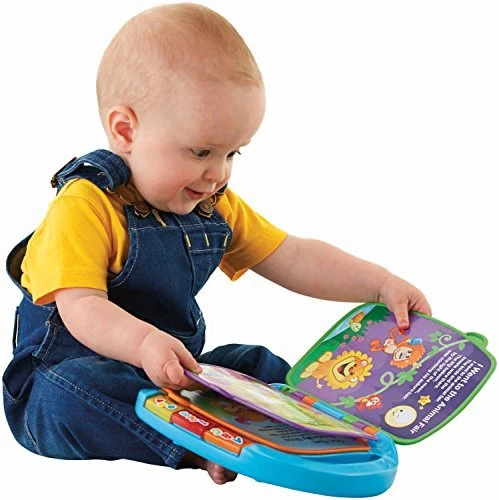 Fisher- Laugh and Learn Storybook Rhymes Book CDH24