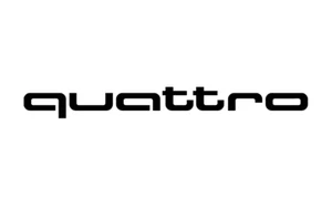 2 Adesivi per AUDI QUATTRO fiancata Q2 Q3 Q5 TT RS S line decal stickers 24CM - Imagen 1 de 1