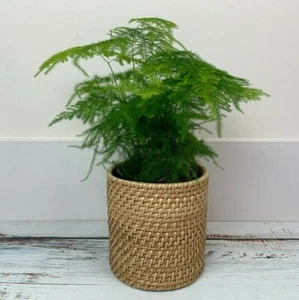 Rattan Planter 5" | Pot Wicker Woven Handmade Basket - Picture 1 of 4