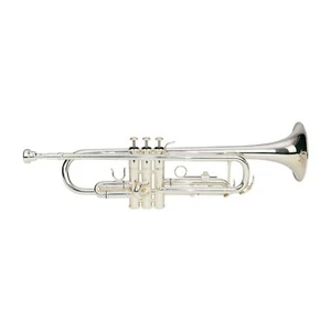 NEW Steinhoff TR20 Intermediate Student Bb Trumpet w/ Case (Silver) - Picture 1 of 11