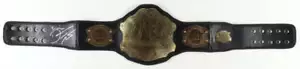 Dustin Poirier Signed Full-Size UFC Championship Belt (JSA) - JSA Witnessed - Bild 1 von 5