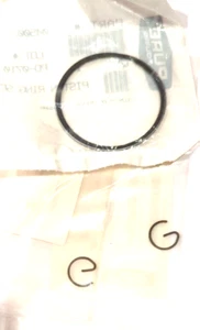 POLARIS OEM NOS 90 SCRAM SPORTS PRED PISTON RINGS & CLIPS .25MM 0450025 0450026 - Picture 1 of 3