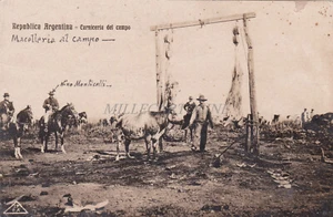 ARGENTINA - Carniceria del Campo, Photo Postcard 1908 - Picture 1 of 2