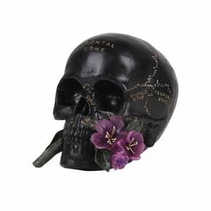  Skull with Rose Figurine Statue Skeleton Halloween - Picture 1 of 4