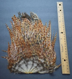 Lote 150, plumas naturales de montura de gallo India para atar moscas joyas - Imagen 1 de 2