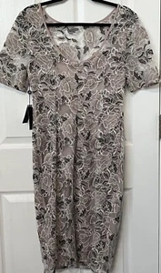 Adrianna Papell Damenkleid Größe 4 Rosa Schwarz Spitze Kurzarm Etuikleid Gefüttert - Bild 1 von 6