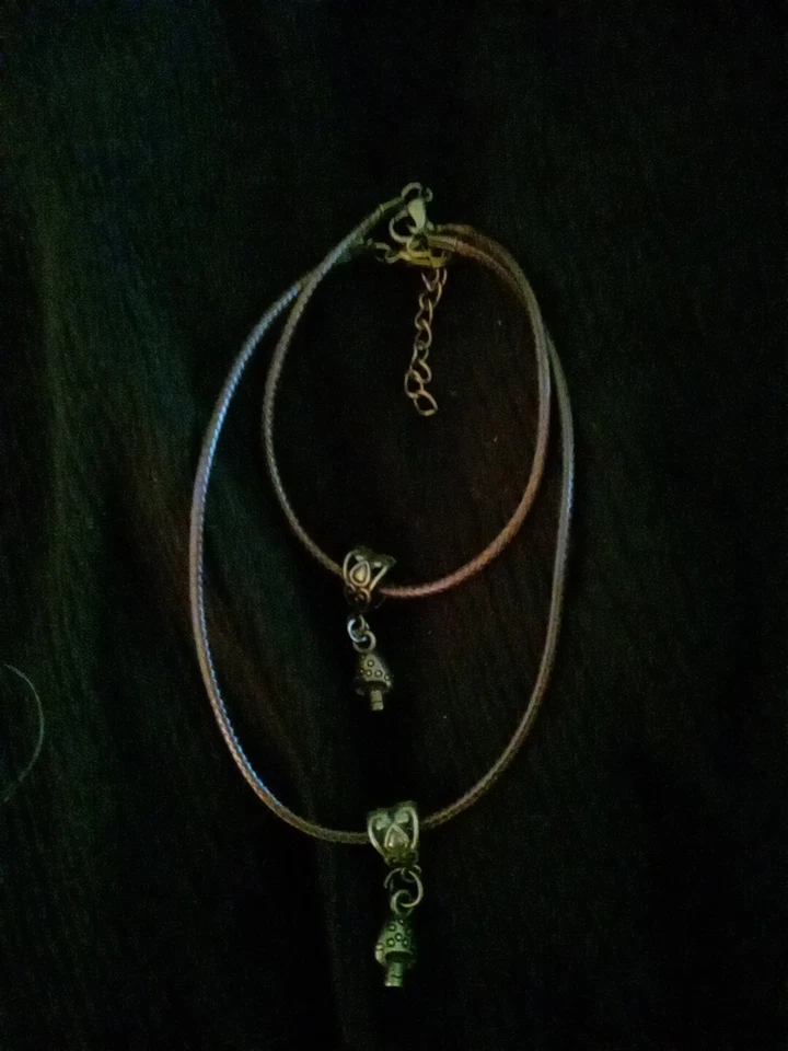 Бронзовый браслет с соответствующим кожаным шнурком на лодыжку - Изображение 1 из 1