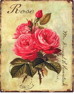 Placa de chapa decorativa rosa ramo de rosas 20 x 25 diseño vintage placa de metal - Imagen 1 de 2
