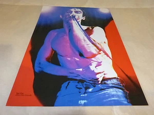 IGGY POP - Mini poster couleurs 7 !!!!!!!!!!!!!!! - Imagen 1 de 1