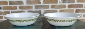 2 grandi ciotole servizio Corelle verde fioritura primaverile AKA margherita pazza vintage 8,5" - Foto 1 di 7