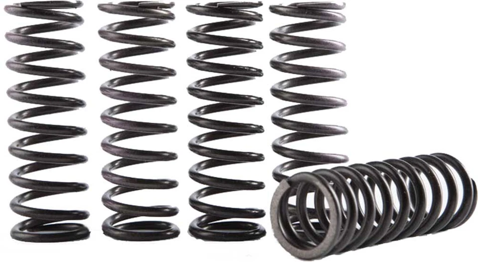 Kit de resorte de embrague Hinson Racing Hi-Temp-Honda-CRF 250X-05-17 Foto 1 de 1