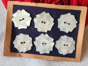 Rare petite plaque boutons anciens en nacre  1,7 cm  lot de 6 n°21 - Picture 1 of 5