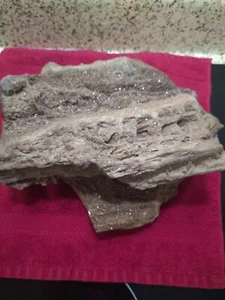 Crystallized Petrified Wood  From Brilliant Alabama - Picture 1 of 5