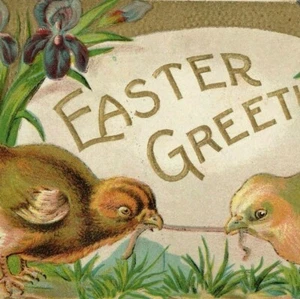 c1910 Easter Greetings Chicks Fighting Over Worm Tug o War Iris Antique Postcard - Imagen 1 de 3