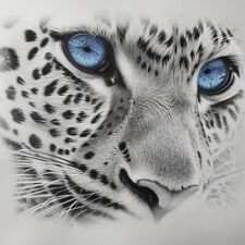 Pencil sketch of a blue eyed snow leopard digital print 